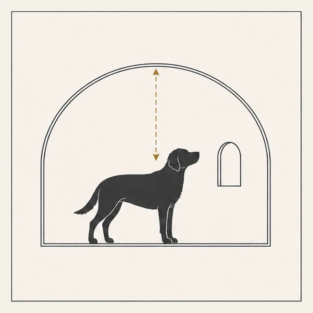 Edition 2. How to Size an Indoor Dog Residence: Standing Tall Comes First