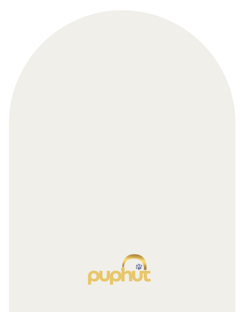 First Snow White paint finish sample on wood block – matte soft white PupHut colour