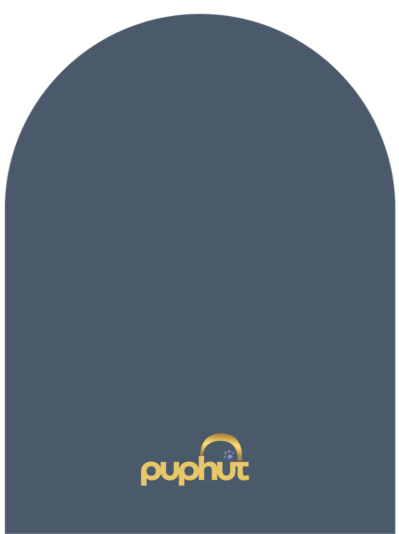 Loyal Blue paint finish sample on wood block – matte deep navy PupHut colour