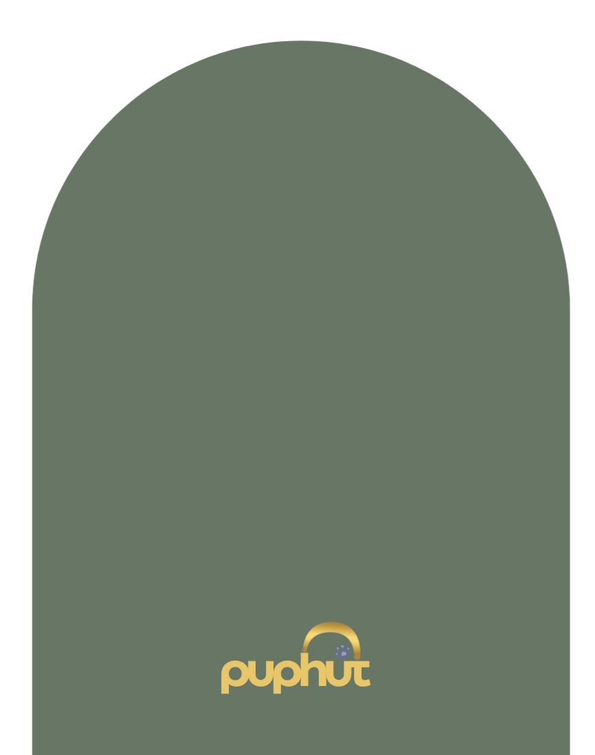 Walk in the Park Green paint finish sample on wood block – matte soft green PupHut colour